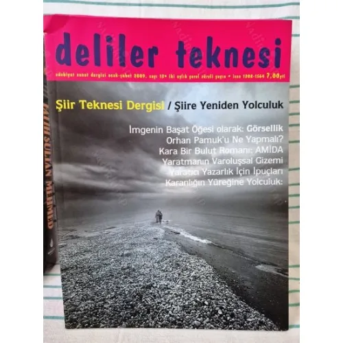 Deliler Teknesi 13 2009 Şiir Teknesi Dergisi, Şükrü Erbaş şiiri, Amida, Orhan Pamuk u ne yapmalı, Görsellik