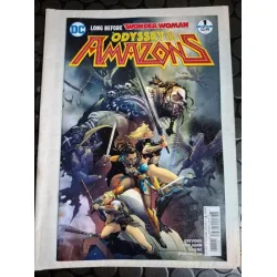 DC Odyssey of the Amazons # 2 of 6 (Cover Artist Ryan Benjamin) DC Odyssey of the Amazons # 2 of 6 (Cover Artist Ryan Benjamin)