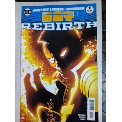 DC Justice League of America: The Ray # 1 DC Universe Rebirth (Cover Penciller Ivan Reis) OneShot DC Justice League of America: The Ray # 1 DC Universe Rebirth (Cover Penciller Ivan Reis) OneShot