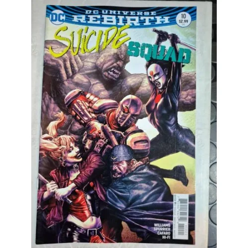 DC DC UNIVERSE Rebirth Suicide Squad Vol 5 10 of 50 (Cover Lee Bermejo Variant Edition)