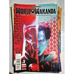 MARVEL Black Panther World of Wakanda # 3 of 6 (Cover Artist Afua Richardson)
