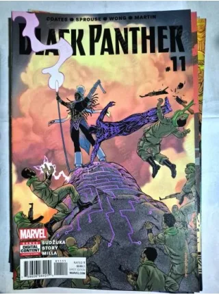 MARVEL Black Panther # 11 of 18 (Cover Artist Brian Stelfreeze * Series Vol. 6 2016 - 2018)