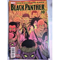 MARVEL Black Panther # 10 of 18 (Cover Artist Brian Stelfreeze * Series Vol. 6 2016 - 2018)