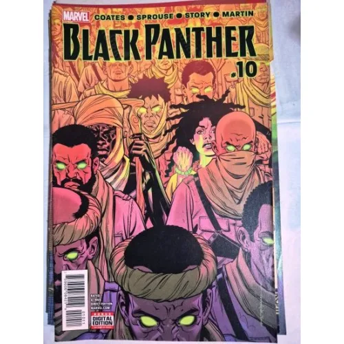 MARVEL Black Panther # 10 of 18 (Cover Artist Brian Stelfreeze * Series Vol. 6 2016 - 2018)