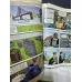 Story of Federal Reserve System * Federal Reserve Bank of New York (FED) Comic Book