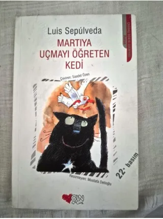 Martıya Uçmayı Öğreten Kedi