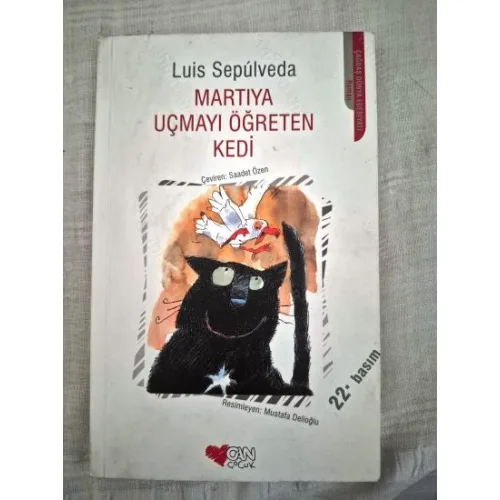 Martıya Uçmayı Öğreten Kedi